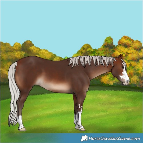 Horse Color:Silver Brown