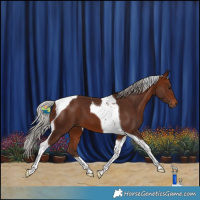 Horse Color:Silver Bay Tobiano 