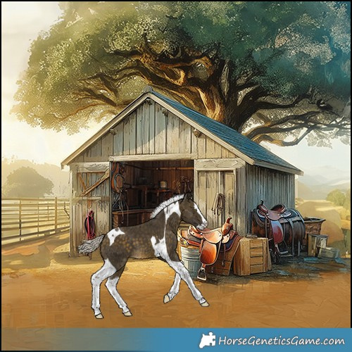 Horse Color:Silver Buckskin Splash Tobiano 