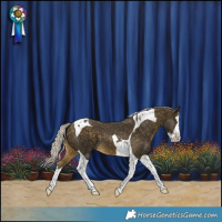 Horse Color:Silver Buckskin Splash Tobiano 