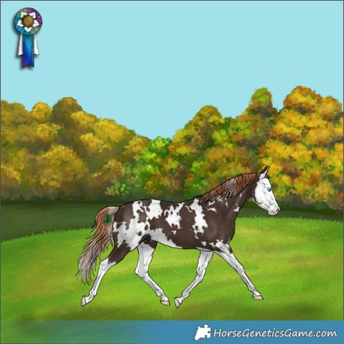 Horse Color:White Spotted Liver Chestnut Splash 