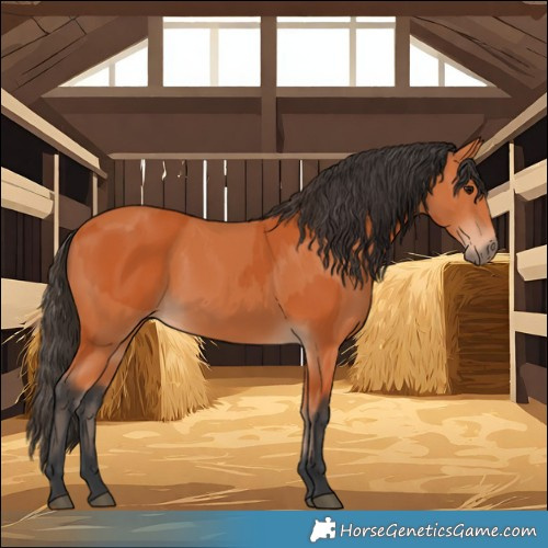 Horse Color:Bay and Bay