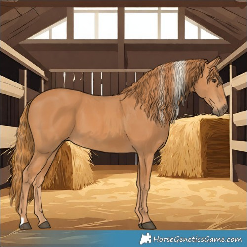 Horse Color:Chestnut and Chestnut