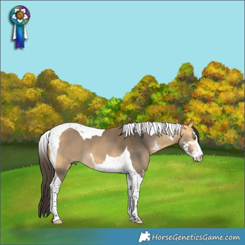Horse Color:Buckskin Sabino Tobiano