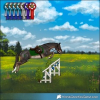 Horse Color:Liver Chestnut Rabicano 