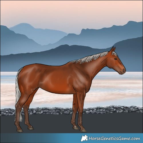 Horse Color:Silver Bay 