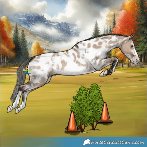 Horse Color:White Spotted Liver Red Dun Mushroom Frame Near Leopard