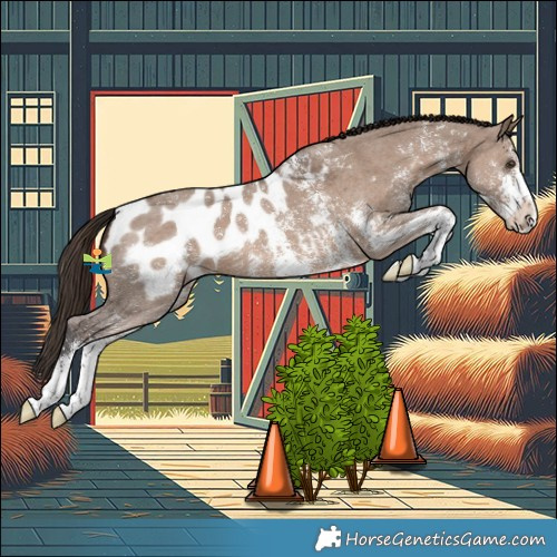 Horse Color:Liver Red Dun Sabino Blanket 