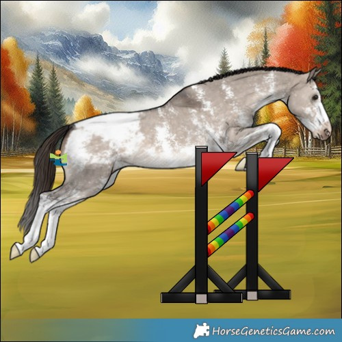 Horse Color:Brown Dun Mushroom Sabino Appaloosa