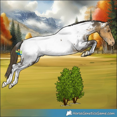 Horse Color:White Spotted Buckskin Mushroom Near Fewspot