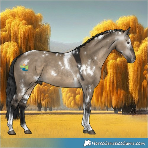 Horse Color:Gray White Spotted Brown Dun Tobiano 
