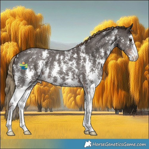 Horse Color:Liver Chestnut Sabino 