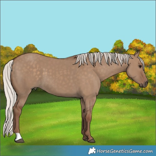 Horse Color:Silver Grullo