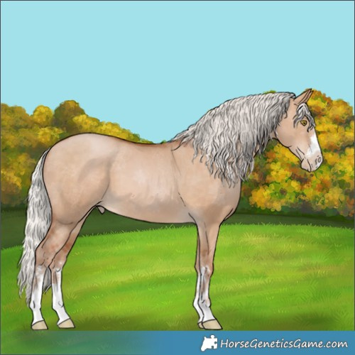 Horse Color:Silver Brown Pearl Dun 