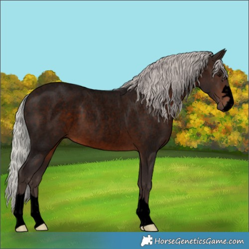 Horse Color:Void Silver Brown Roan 