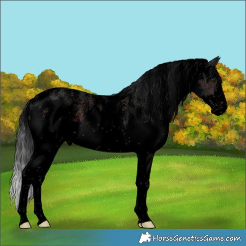 Horse Color:Void White Spotted Brown 