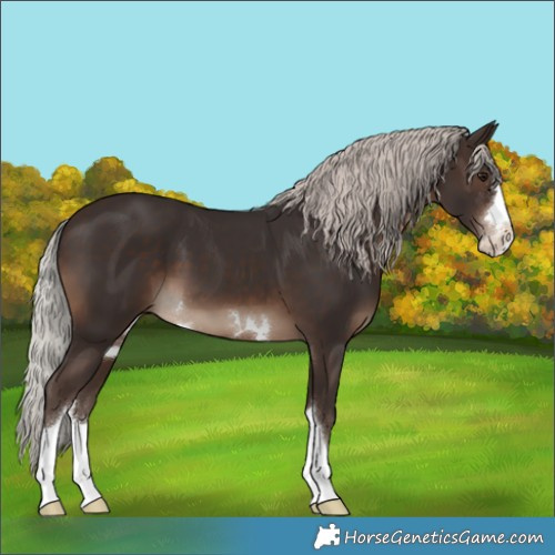 Horse Color:Silver Brown