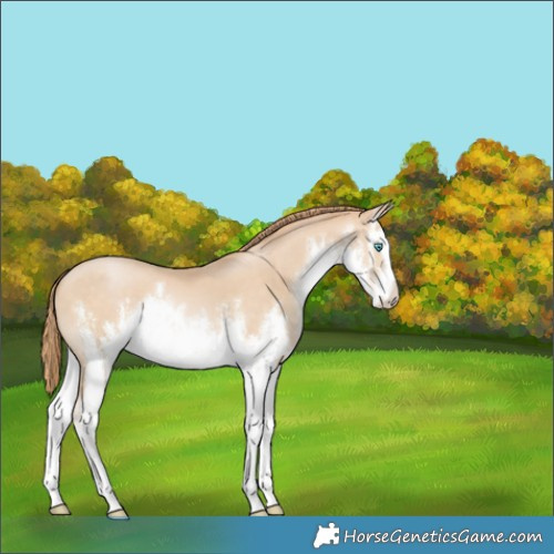 Horse Color:White Spotted Brown Snowdrop Pearl 