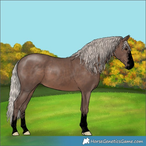 Horse Color:Void Silver Black 