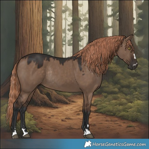 Horse Color:Liver Red Dun Rabicano