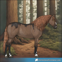 Horse Color:Liver Red Dun Rabicano 