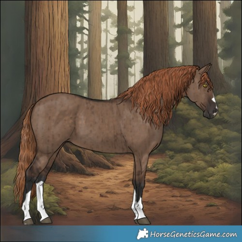 Horse Color:Liver Red Dun Brindle 