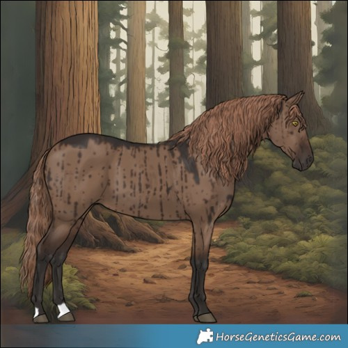 Horse Color:Liver Red Dun Brindle 