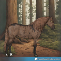 Horse Color:Liver Red Dun Brindle