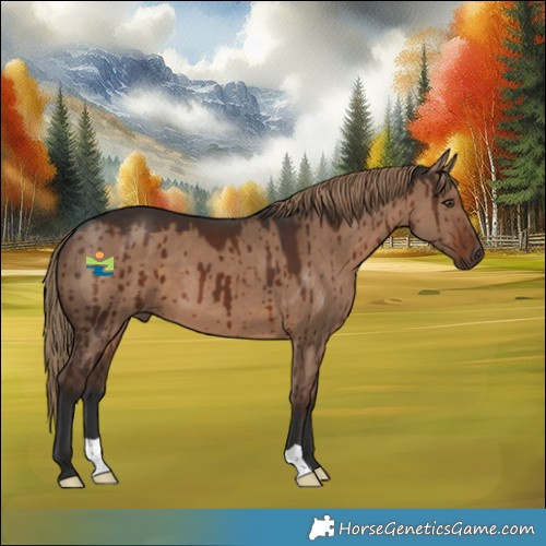 Horse Color:Liver Red Dun Brindle