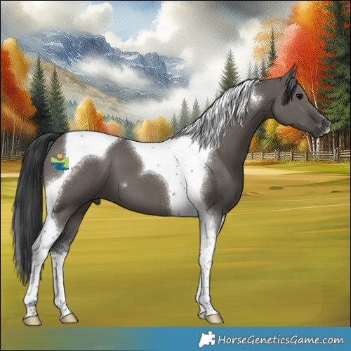Horse Color:Grullo Tobiano