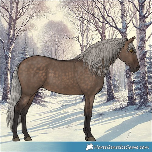 Horse Color:Silver Brown Dun