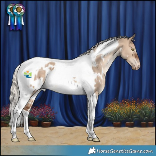 Horse Color:White Spotted Silver Brown Dun Tobiano Appaloosa