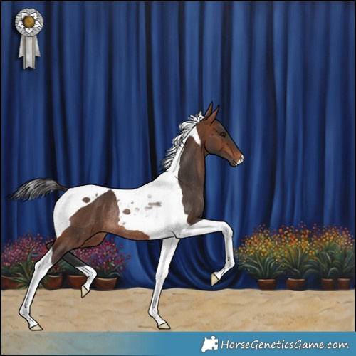 Horse Color:Brown Tobiano Rabicano 