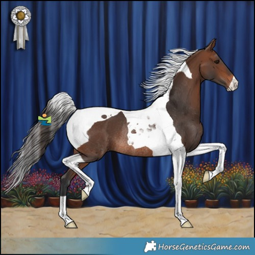 Horse Color:Brown Tobiano Rabicano 
