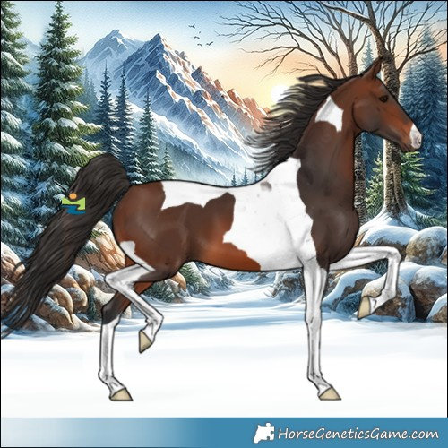 Horse Color:Brown Tobiano 