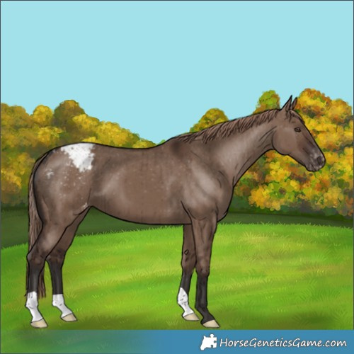 Horse Color:Liver Red Dun Varnish Brindle 