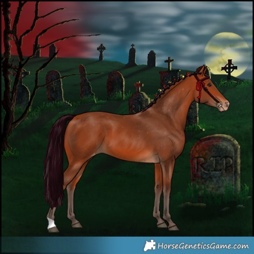 Horse Color:Silver Bay Appaloosa