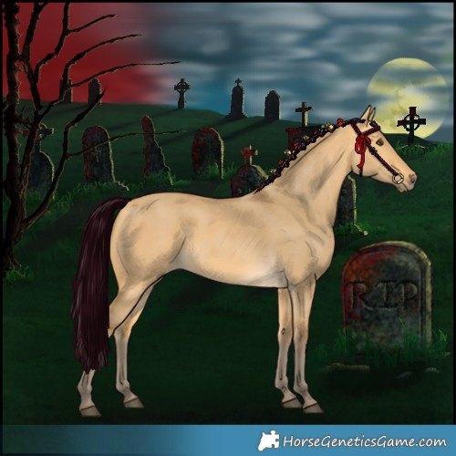 Horse Color:Silver Buckskin Dun