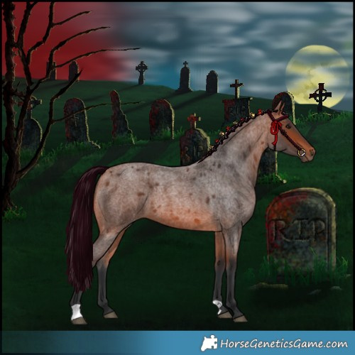 Horse Color:Bay Roan