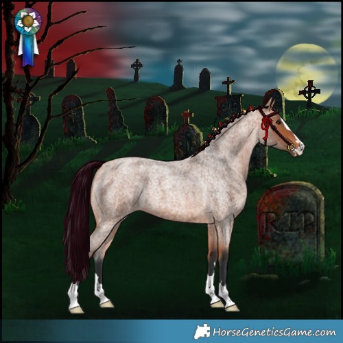 Horse Color:Bay Roan