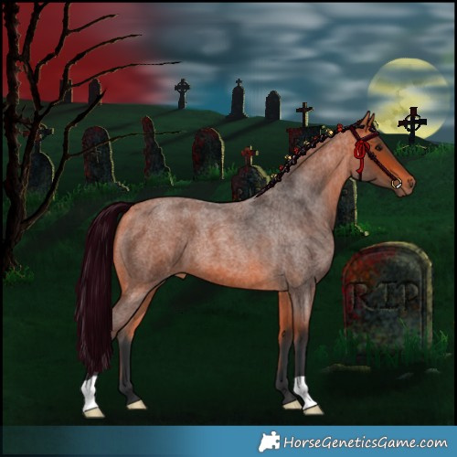 Horse Color:Bay Roan