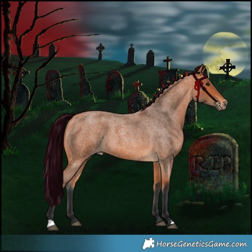 Horse Color:Bay Roan