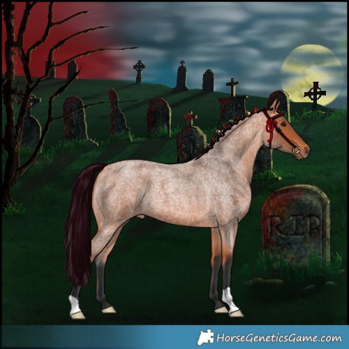 Horse Color:Bay Roan