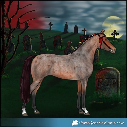 Horse Color:Bay Roan