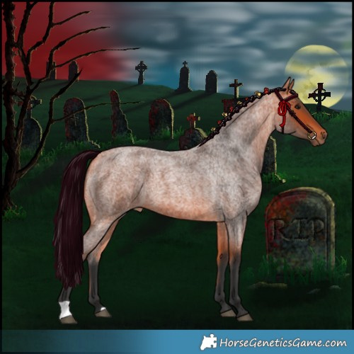 Horse Color:Bay Roan
