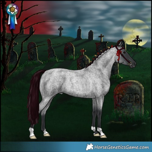 Horse Color:Blue Roan