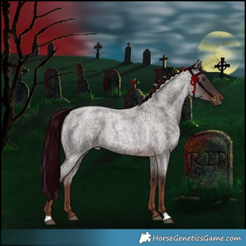 Horse Color:Liver Red Roan 