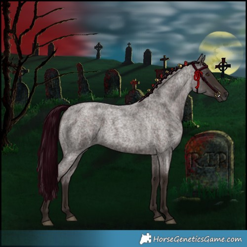 Horse Color:Liver Red Roan 