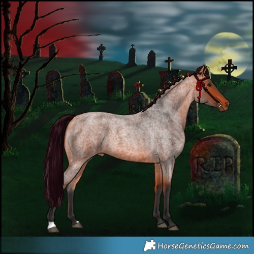Horse Color:Bay Roan