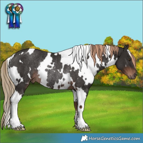 Horse Color:White Spotted Liver Chestnut Rabicano